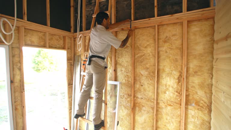 Types of Insulation We Offer in Dumfries, VA